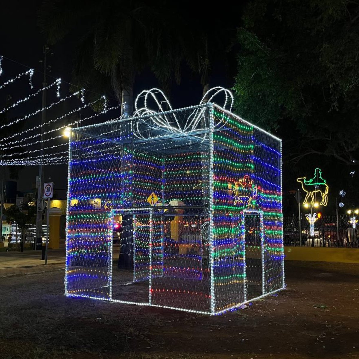 Yucatán Today tweet media
