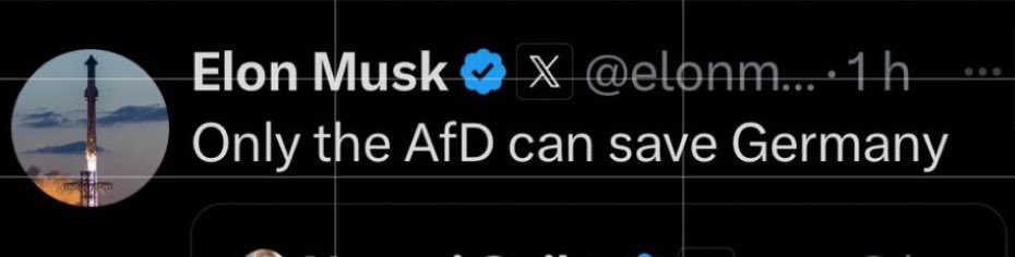 The AfD is a far-right party that advocates for closer ties with Russia and China, with some of its prominent figures promoting Holocaust revisionism. One leading member even described the Berlin Holocaust Memorial as a “monument of shame.”

So, of course, Musk supports them.