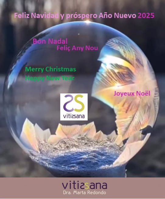 VitisSana's tweet photo. Inauguramos este invierno de 2024 que se inicia precisamente el 21 de Diciembre, a las 10:21h, día y hora en los que se producirá el solsticio de invierno que se alargará hasta el 28 de febrero. 
Os dejamos con nuestra felicitación de Navidad. #VitisSana https://t.co/M8CZ45dyjS