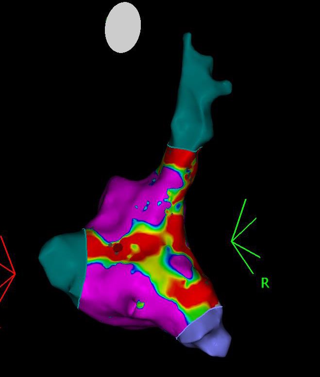 Emir Baskovski tweet media