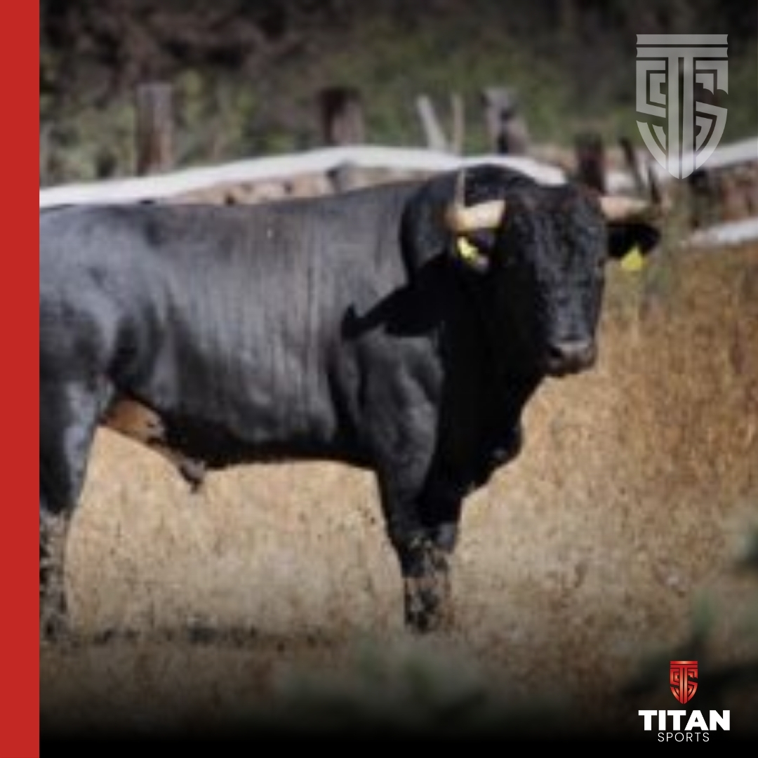 🐂🎭 Fermín Rivera asume un doble reto este Año Nuevo: torero y ganadero en Durango. ¡Un cartel imperdible! 🎟️🎉 Más detalles aquí. 👇 
titansports.international/fermin-rivera/  #Toros #FermínRivera