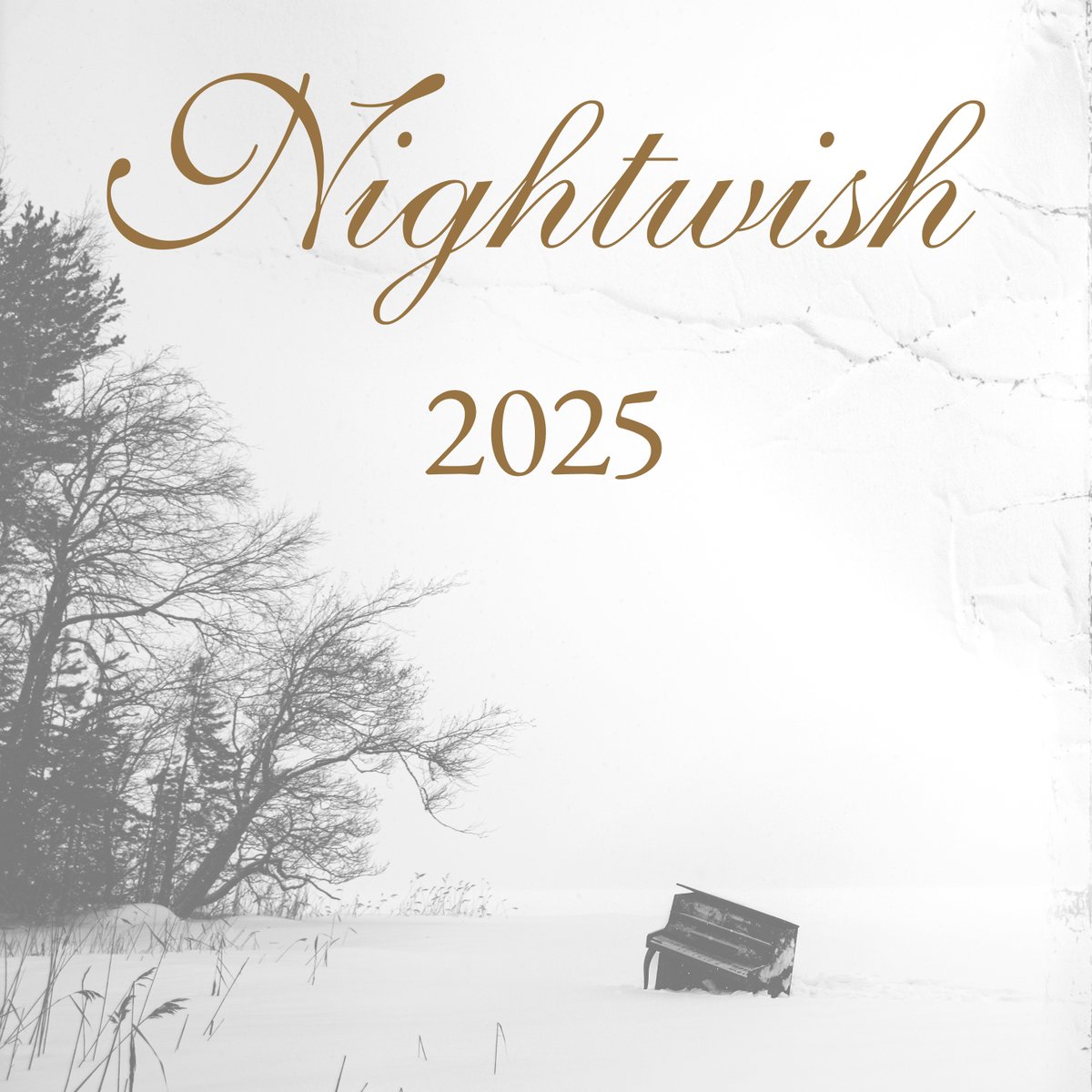 Wishing you all a happy New Year! May 2025 bring you joy, love, and all the things you’ve been dreaming of! ✨What would you like to see on this account for this new year ?