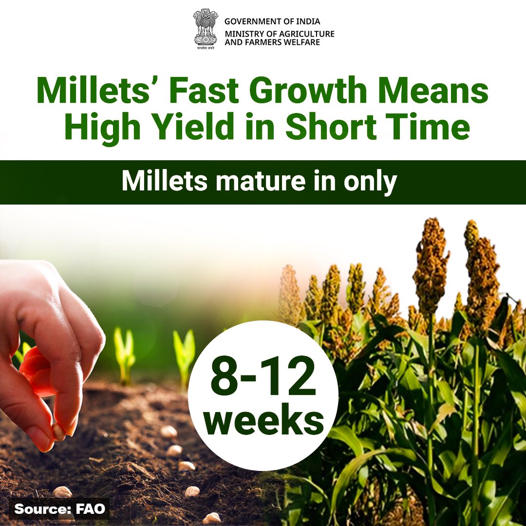 IYM2023's tweet photo. Two months to harvest, and full of climate-smart benefits for farmers.
#IYM2023 #ShreeAnna #Millets #ClimateSmartCrops https://t.co/IxxigZ1RUp