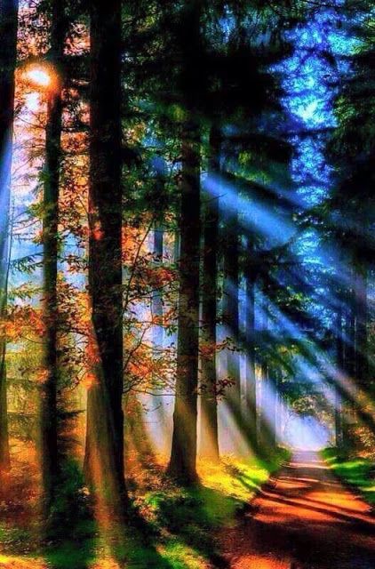 𝗠𝘂𝘀𝗶𝗰 𝘁𝗼 𝗺𝘆 𝗵𝗲𝗮𝗿𝘁-𝗩𝗢𝗟 𝟮-. Hay una música que baila siempre en tu corazón
ᴘᴀʟᴀʙʀᴀꜱ ʏ ᴠᴏᴢ ᴅᴇ ᴘʀᴇᴍ ʀᴀᴡᴀᴛ. ᴍÚꜱɪᴄᴀ ᴅᴇ ᴊᴏʜɴ ᴀᴅᴏʀɴᴇʏ. OnLine en amzn.to/3Ip6dkV
#music2myheart #Infpeace #Premrawat #Peacenow