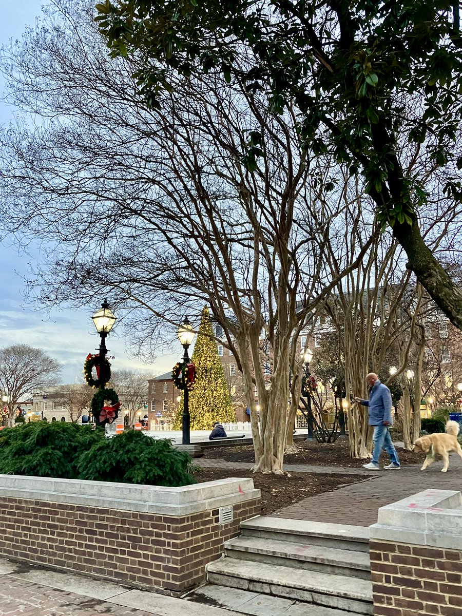 HobanGirl's tweet photo. Brrr, a very chill, turn-up-the-collar day this morning. Don’t let the photos deceive… mornings take longer to brighten, somedays the sun proves fickle, remains hidden behind mists and clouds, hibernating as the rest of us are inclined. #RoyalSt #KingSt #OldTown #Alexandria https://t.co/DHPLlmHFn2