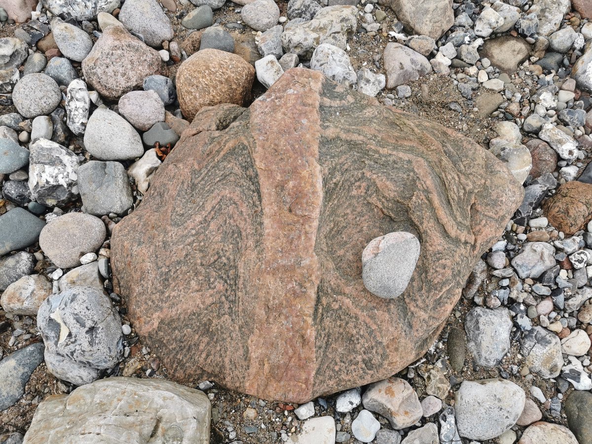 FelixEckel's tweet photo. We had a small excursion with a few students to the coastline just outside of Kiel where we found lot's of different rocks from Scandinavia. Though the sky was pretty gray it was a lovely field trip! #geology

Photos: Y. Rojas-Agramonte https://t.co/9npfp5Ypzo