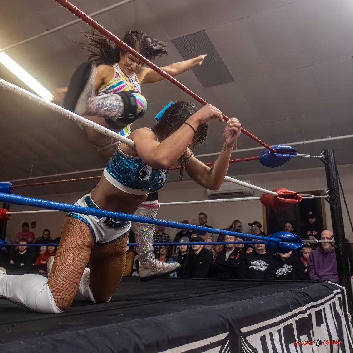 vmpix1's tweet photo. Match 3 - Singles Match - Action Round 3
@b3cca4ever vs @IamKylieRae

@LWMaine #LimitlessRumble - 12/14/24
#indiewrestling #limitlesswrestling #wrestlingphotography https://t.co/Z5WJBaKppH