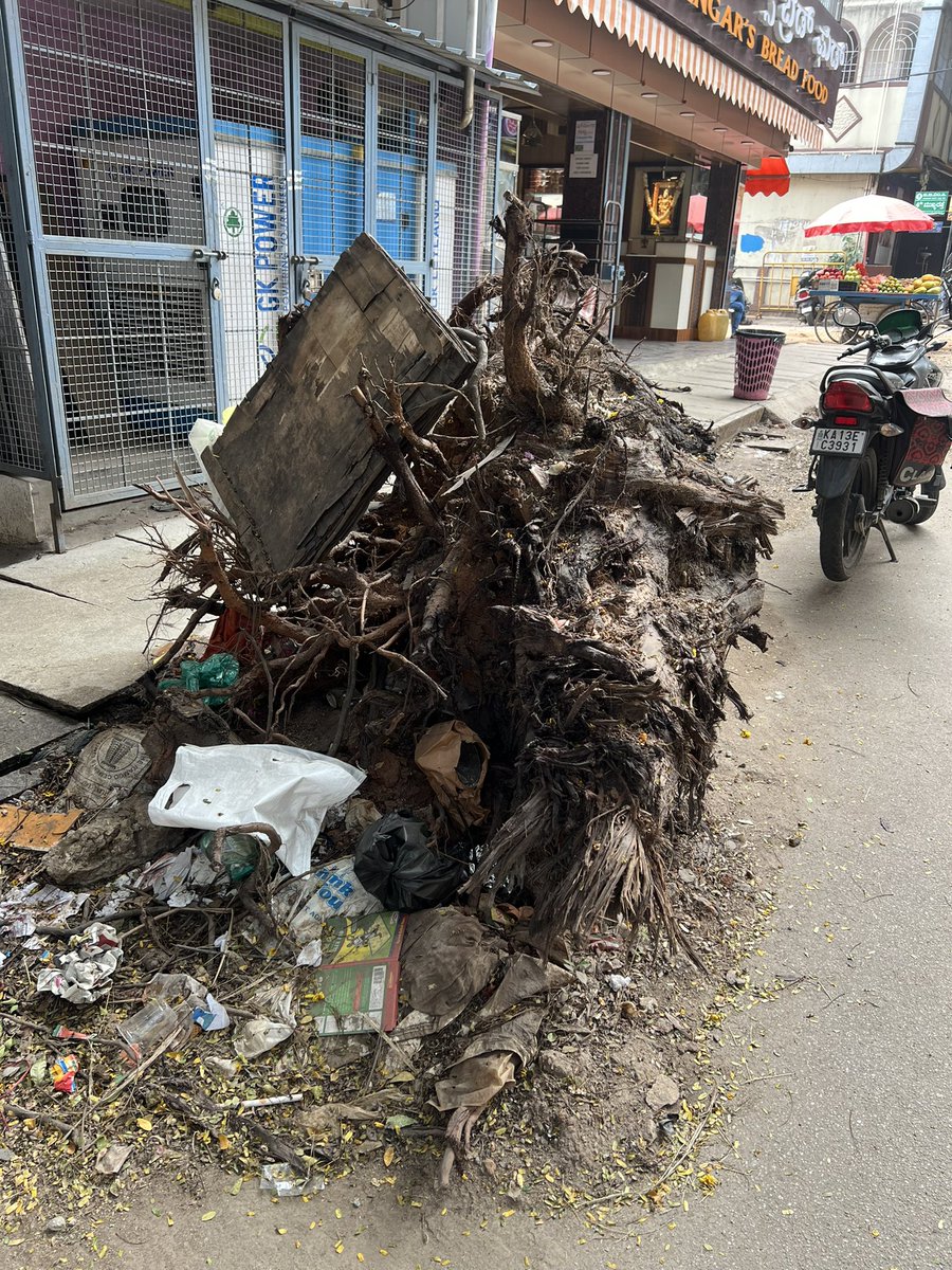 dh_jain's tweet photo. @BBMP_Cares @BbmpchdTeam @mkrishnappa_MLA It’s almost 3-4 months since the root of the uprooted tree lying beside the road creating home for insects. It’s located opposite Bank Of Baroda, Vijayanagar in front of Iyengar’s Bread Food. Do clear it to the earliest https://t.co/hThvRtFqP7