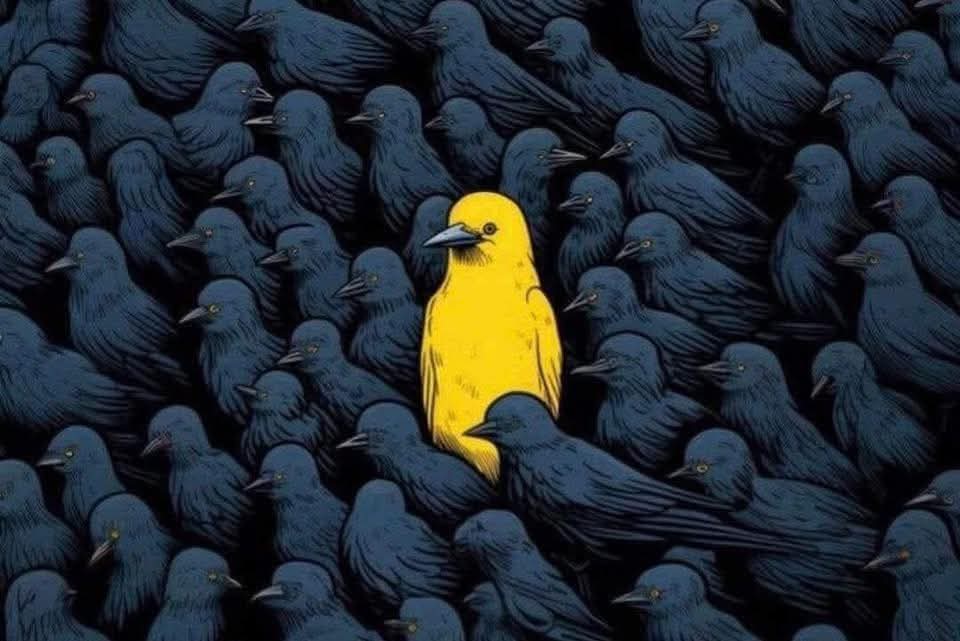 لو بحثت عن كلمة "أكثر الناس" في القرآن لوجدت بعدها
( لا يعلمون - لا يشكرون - لا يؤمنون )

ولو بحثت عن كلمة " أكثرهم " لوجدت بعدها
( فاسقون - يجهلون - معرضون - لا يعقلون - لا يسمعون )

فكن أنت من القليل🚶🏽‍♂️

﴿ وقليل من عبادي الشكور ﴾
﴿ وما آمن معه إلا قليل ﴾
﴿ ثلة