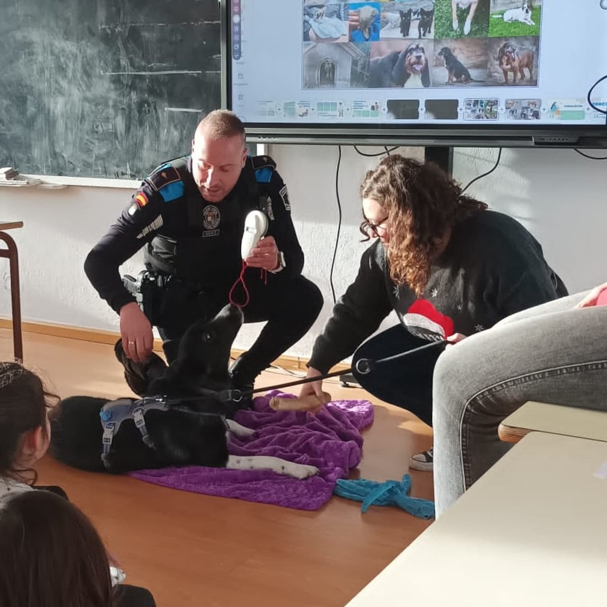 AytoSdB's tweet photo. 🐶🐱Área de Medio Ambiente   y Policía Local 👮‍♂️🚔

Ésta semana se han realizado dos talleres sobre tenencia responsable de animales.

#AdoptaNoCompres https://t.co/t1zzJC9m1O