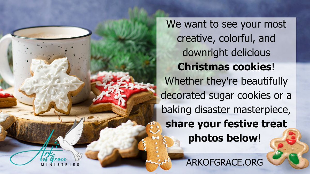AmandaGrace_AOG's tweet photo. We want to see your Christmas cookies! Whether they're beautifully decorated sugar cookies or an epic cookie fail, share your festive treat photos below!
#prophecy #Amandagrace #Christian #Christianity #Jesus #faith #cookies #holidaytreats #bakedgoodies #bakingfails #cookiefails #Christmascookies