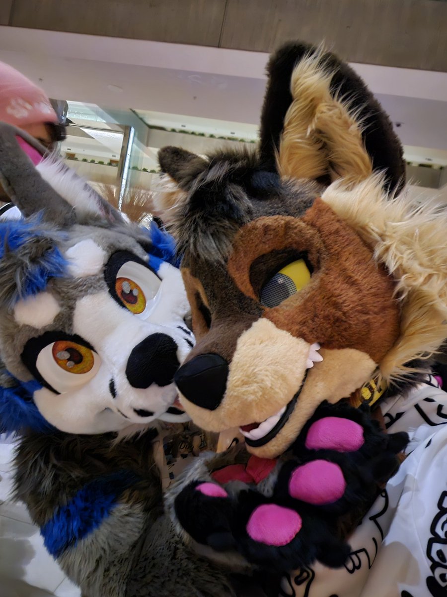 found me a <a href="/fosnak_/">dug</a>! we wish y'all a happy #FursuitFriday

#MFF2024 #fursuit