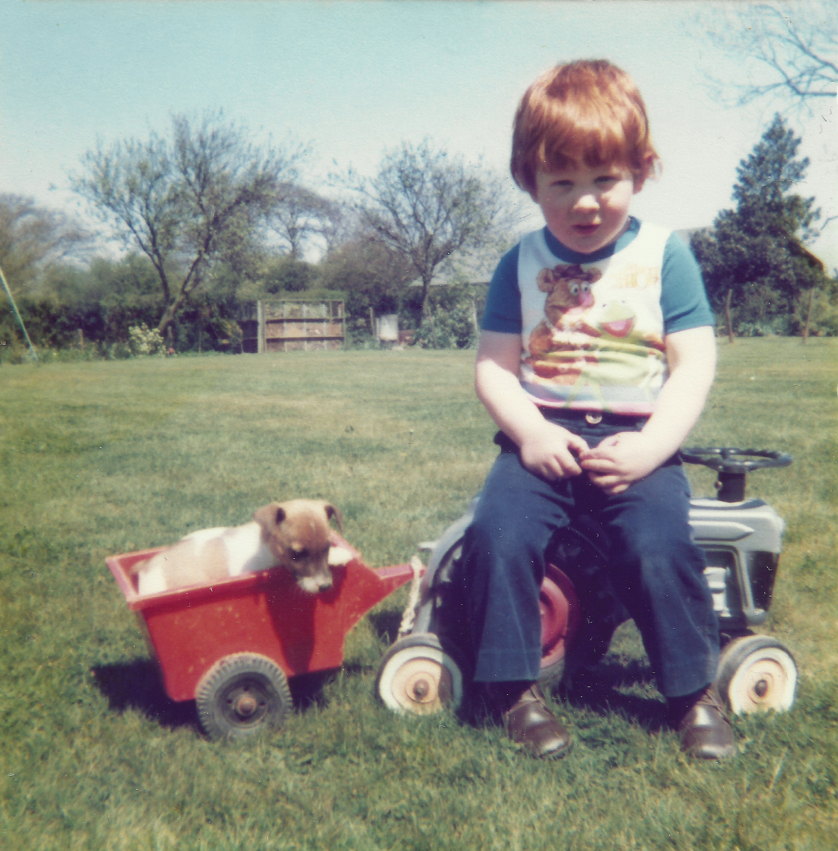 Who has a tractor and a puppy on their Christmas list this year? #Throwback
