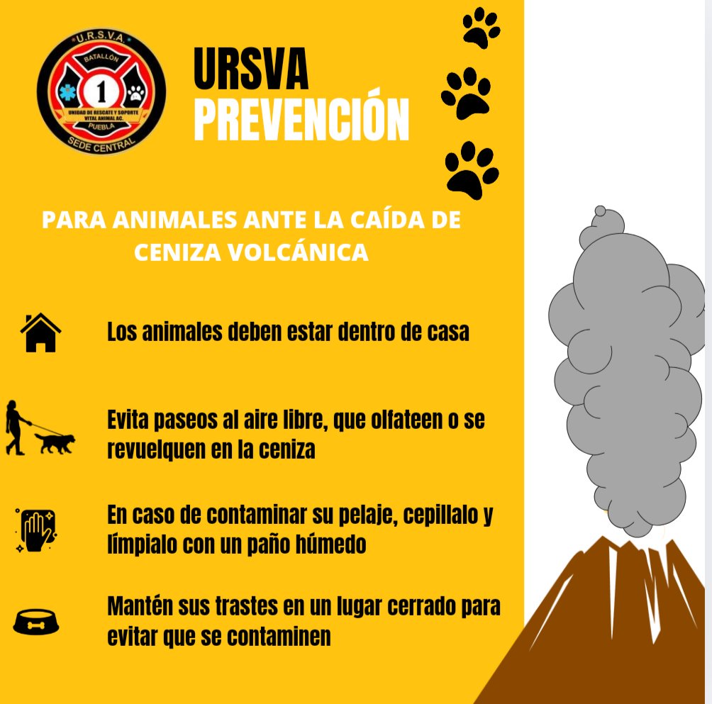 UrsvaPuebla's tweet image. #URSVA #prevención 

¿Sabes cómo proteger a tus animales de compañía ante caída de ceniza volcánica?

Sigue estos tips, si presenta algún malestar por el contacto con ceniza volcánica, consulta a tu médico veterinario

#popocatepetl #prevencionderiesgos #ceniza #bienestaranimal