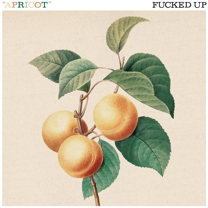 APRICOT is up on merchtable while they last, and Bandcamp for the next 24. All bandcamp funds will benefit the Parkdale Community Foodbank. Thank you for this year and happy holidays
fuckedup.merchtable.com/music/7/aprico…
fuckedup.bandcamp.com/album/apricot
