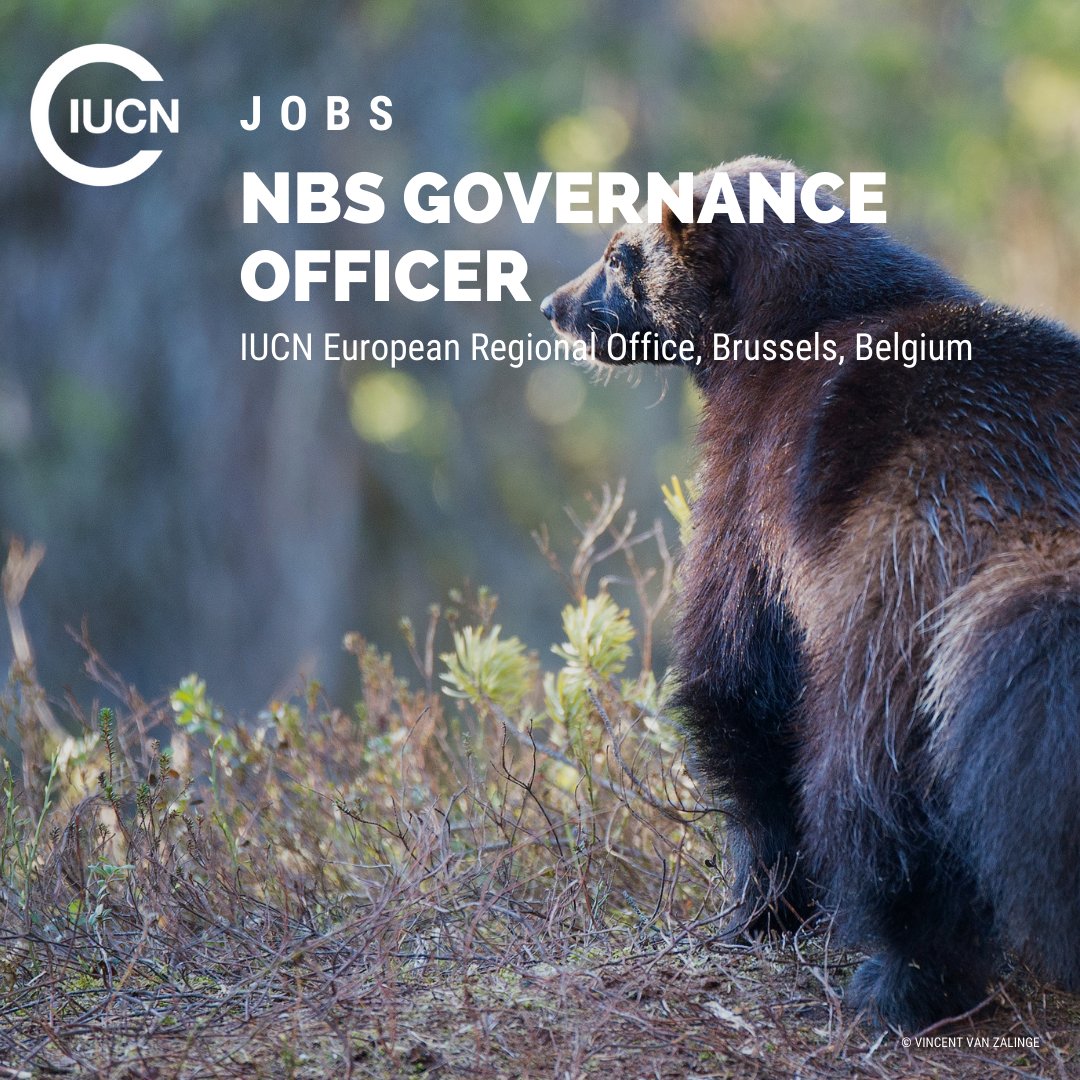 📢 We are hiring! The IUCN European Regional Offices are looking for a new NbS Governance Officer, a Food Systems Officer and a Biodiversity Finance Senior Officer. 

Full details 👉🏽

bit.ly/3VPu1VQ
bit.ly/3VJJKFV
bit.ly/402JJQ1