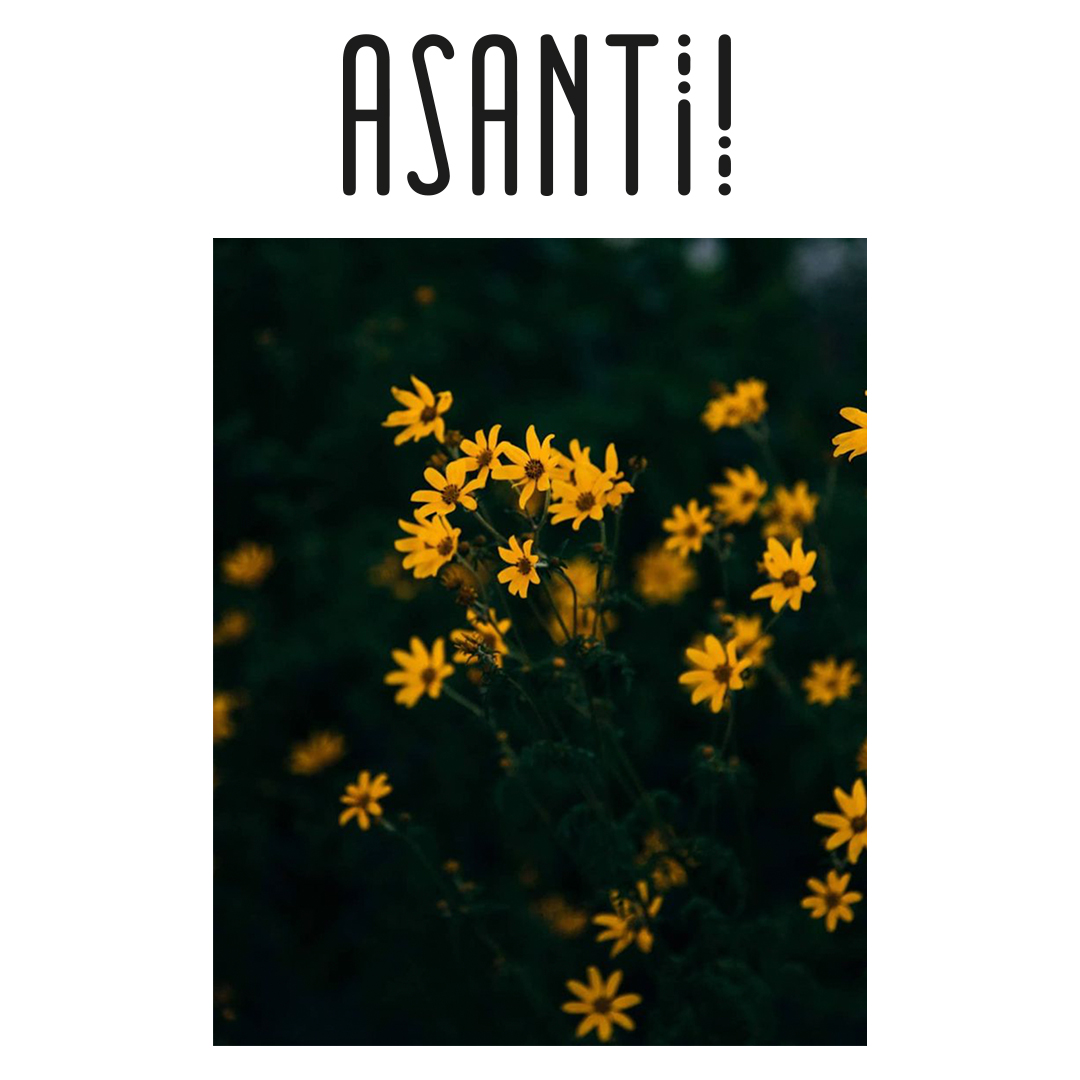 Wishing you a merry christmas from the Asantii team!