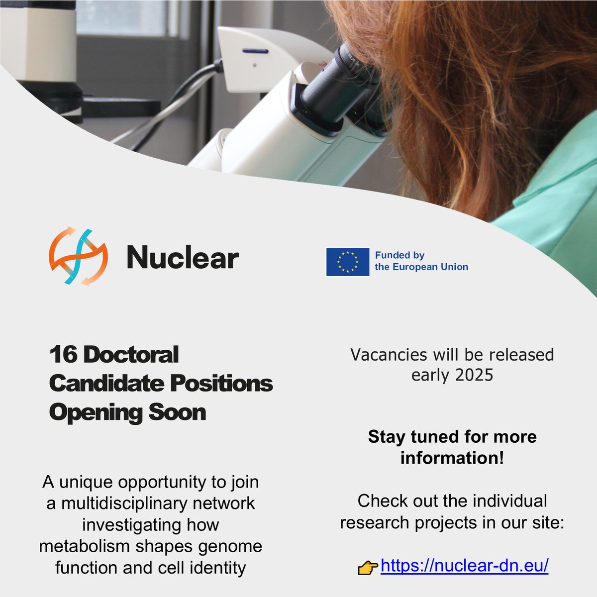 Marcus Buschbeck and Lab (@marcusbuschbeck) on Twitter photo 2025 SPOILER 2025! NEW NETWORK!
#metabolism will meet #epigenetics in our brand new <a href="/MSCActions/">Marie Skłodowska-Curie Actions</a> doctoral network <a href="/NuclearDn/">NUCLEAR-DN</a>.
nuclear-dn.eu
16 PhD positions will be available <a href="/CarrerasIJC/">Josep Carreras Leukaemia Research Institute (IJC)</a>, <a href="/CRGenomica/">Centre for Genomic Regulation (CRG)</a>, <a href="/BabrahamInst/">Babraham Institute</a>, + + +
Have a great Season break and see you 2025! 2025 SPOILER 2025! NEW NETWORK!
#metabolism will meet #epigenetics in our brand new <a href="/MSCActions/">Marie Skłodowska-Curie Actions</a> doctoral network <a href="/NuclearDn/">NUCLEAR-DN</a>.
nuclear-dn.eu
16 PhD positions will be available <a href="/CarrerasIJC/">Josep Carreras Leukaemia Research Institute (IJC)</a>, <a href="/CRGenomica/">Centre for Genomic Regulation (CRG)</a>, <a href="/BabrahamInst/">Babraham Institute</a>, + + +
Have a great Season break and see you 2025!