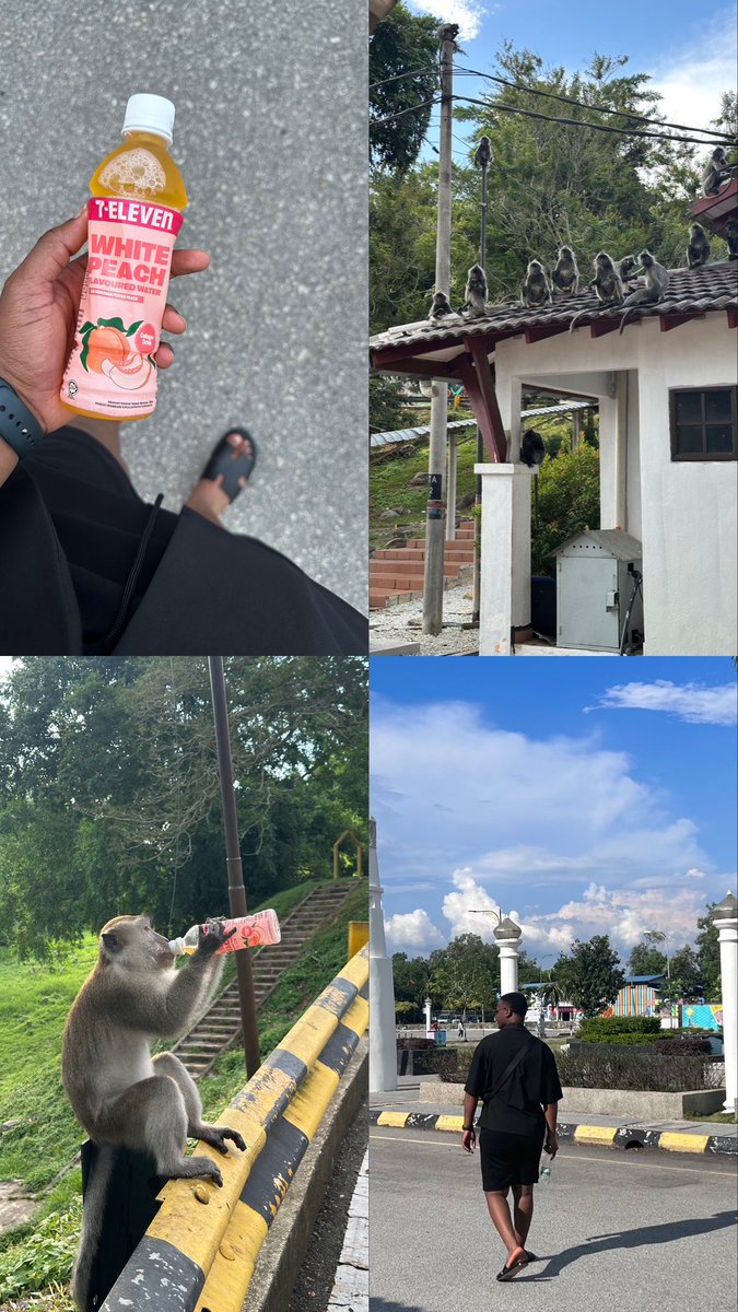 Difto_'s tweet photo. la Malaisie m’allait si bien 🇲🇾 https://t.co/OcDadD9M1a