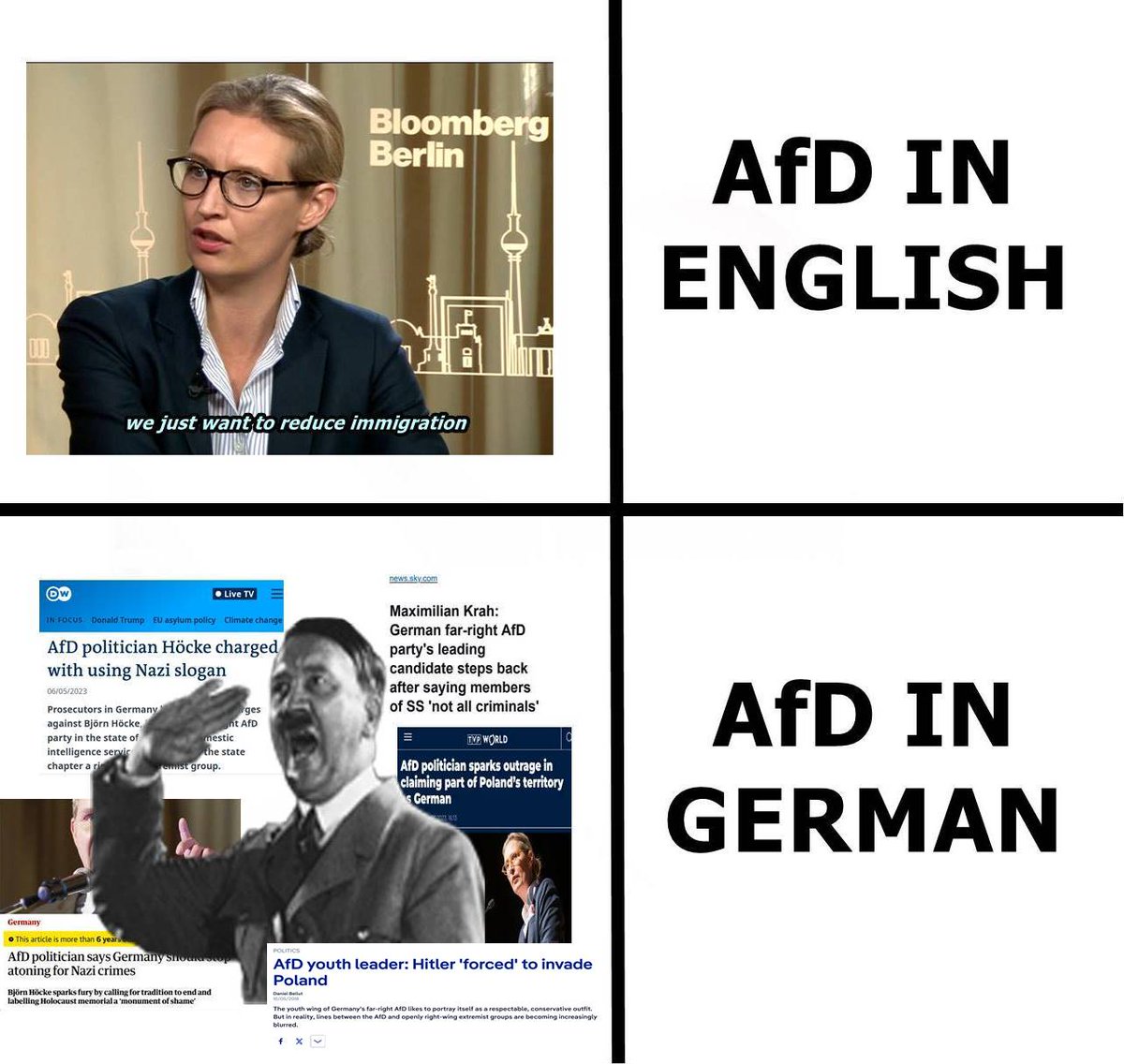 For Elon and all the other AfD simps.