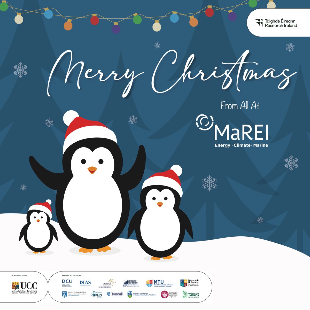 Merry Christmas and a Happy New Year from all at MaREI🎄