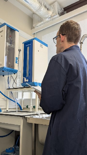 Synoptics tweet media