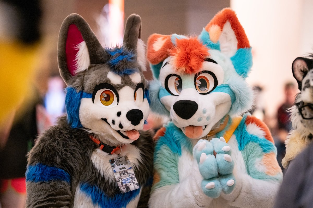 What are the dogs secretly talking about at #MFF2024 ?

ft. <a href="/fosnak_/">dug</a> <a href="/Mekhoiii/">Mekhoi 🐾</a>
