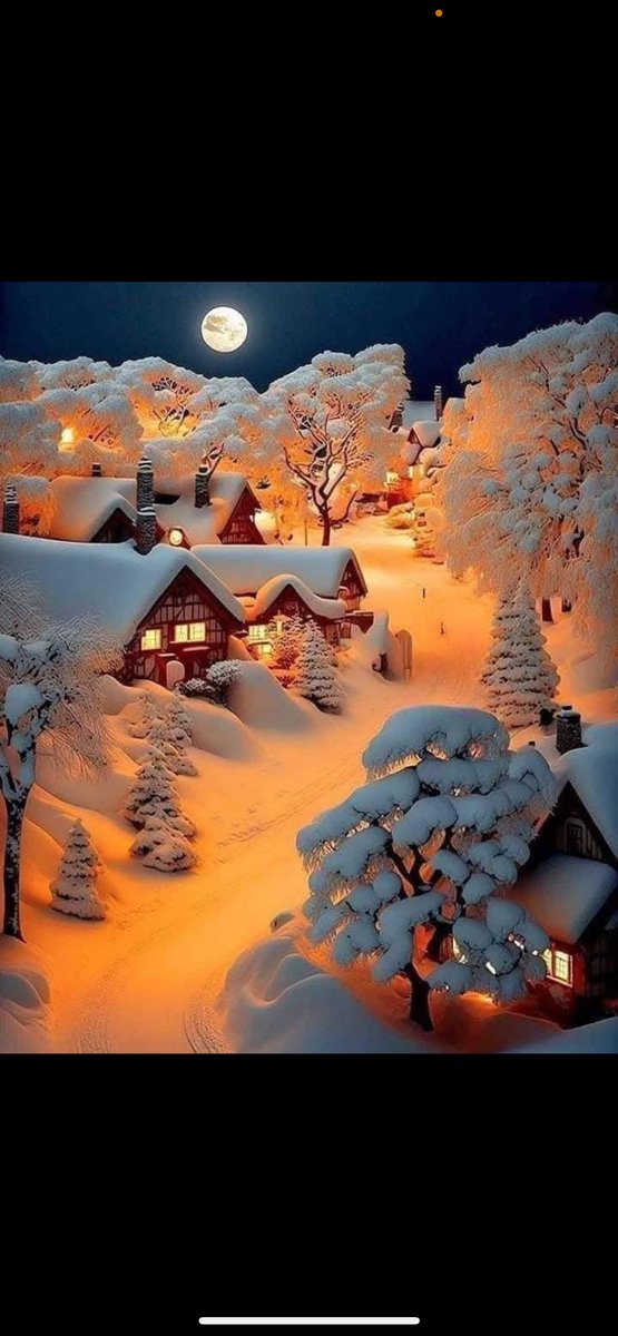 Anna 🧡🇦🇹🌺🌸 tweet media