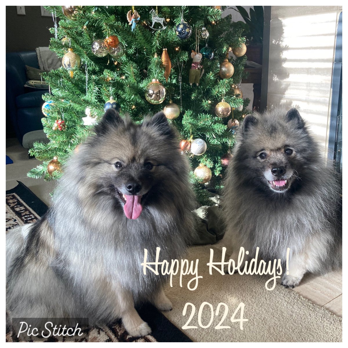 Wishing you all a wonderful Christmas and holiday season!