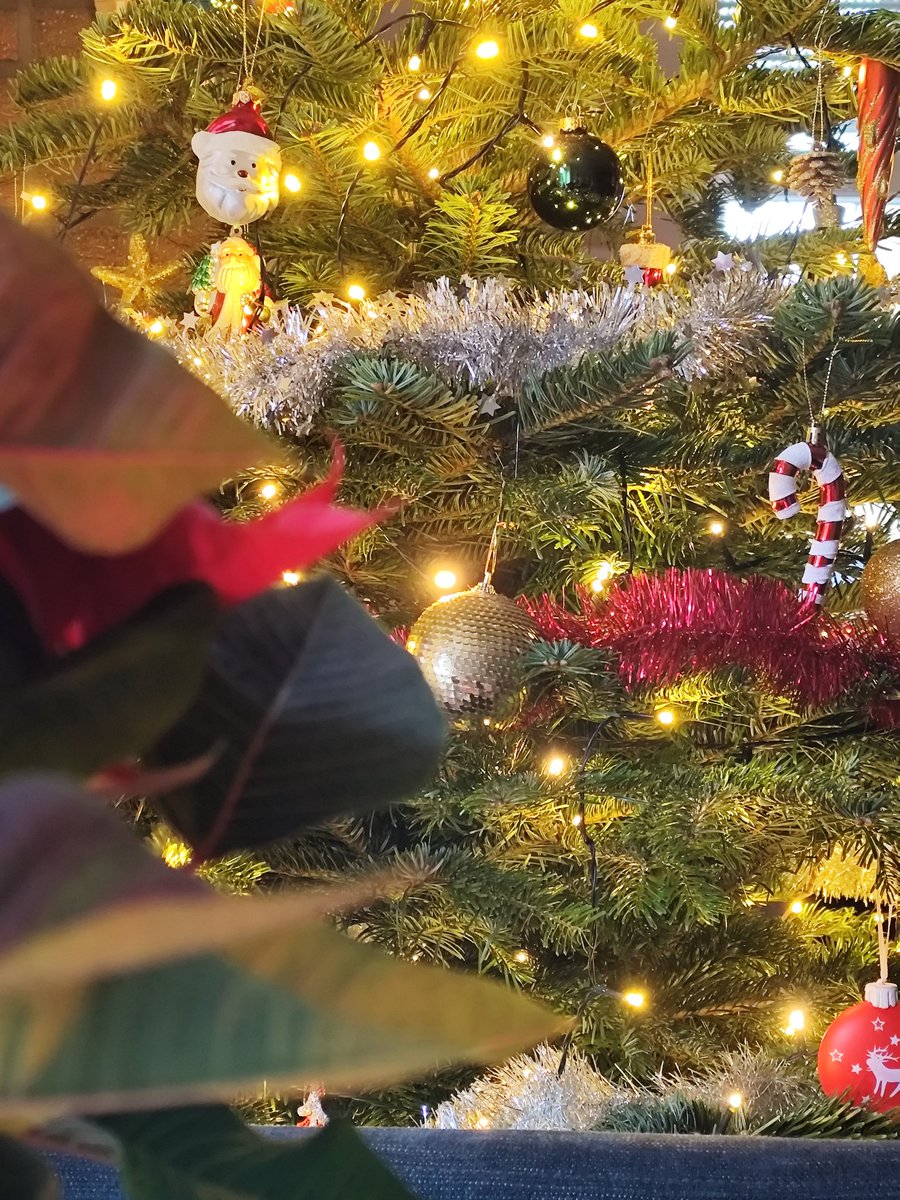 C Evolution tweet media