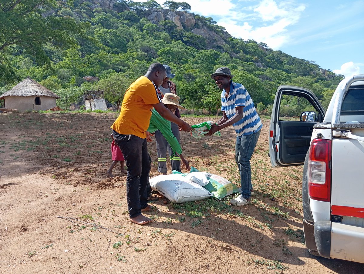 Brighton Mushekwa tweet media