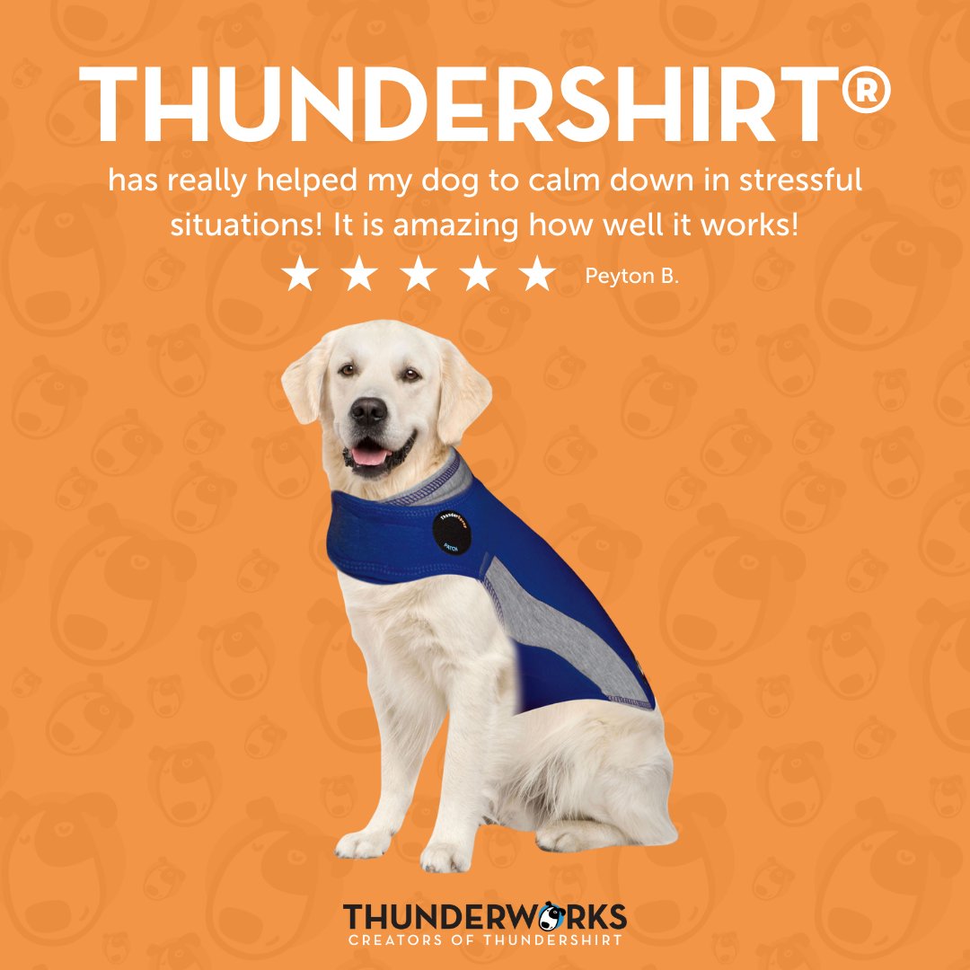 New Years Eve is upon us, and we are hopeful to help as many pets as possible, like Peyton's sweet pup! Prepare for the NYE fireworks with a ThunderShirt 🐶