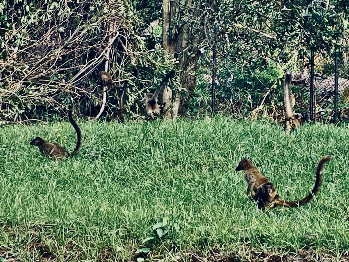 Philippe SIGURET ⬆️❤️ tweet media