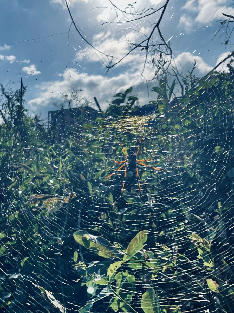 Philippe SIGURET ⬆️❤️ tweet media