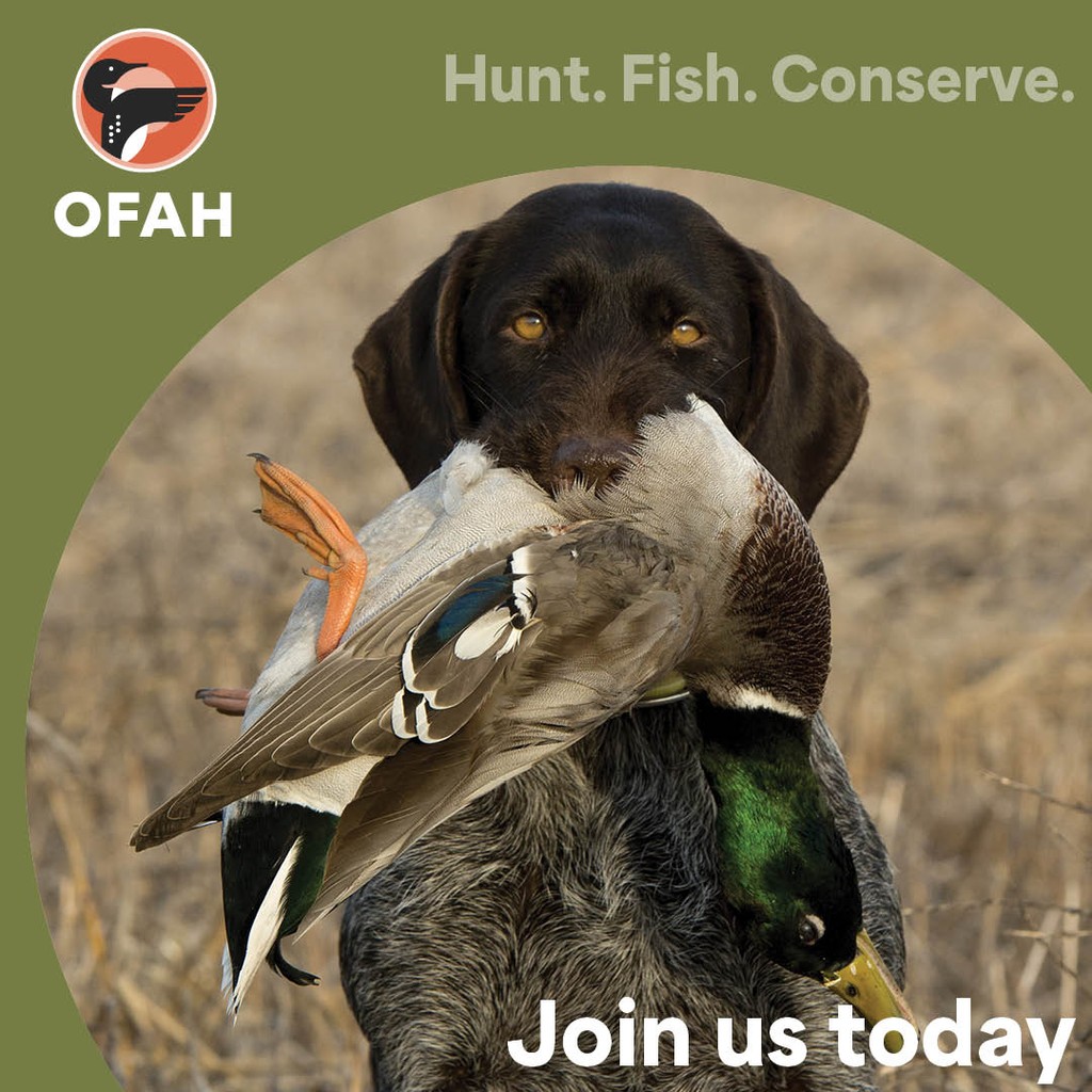 Want to start hunting but don’t know where to begin? The OFAH is your trusted resource for getting started. Find the resources and knowledge you need to get the most out of your outdoors experience. Join today. Learn more at ofah.org