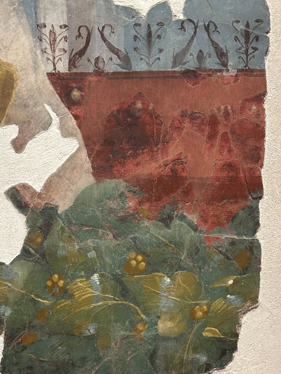 Dr Sophie Hay tweet media