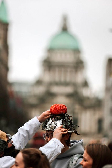 Daisy Chain Inc tweet media