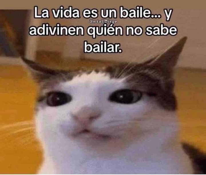 GatitoDepresion's tweet photo. https://t.co/TsHsa33Upa