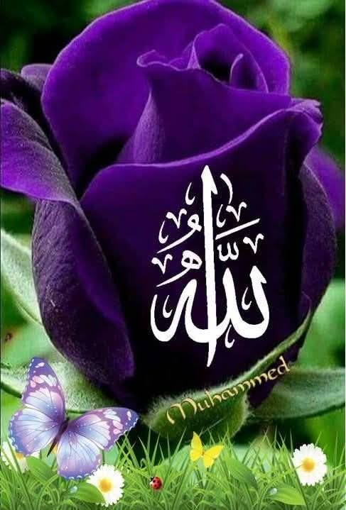 MaleIshah's tweet photo. اِلَّا الَّذِىۡ فَطَرَنِىۡ فَاِنَّهٗ سَيَهۡدِيۡنِ
Yo no sirvo sino a Quien me ha creado. Él me dirigirá».
☪️💜👈 https://t.co/YoSqzZU3Na