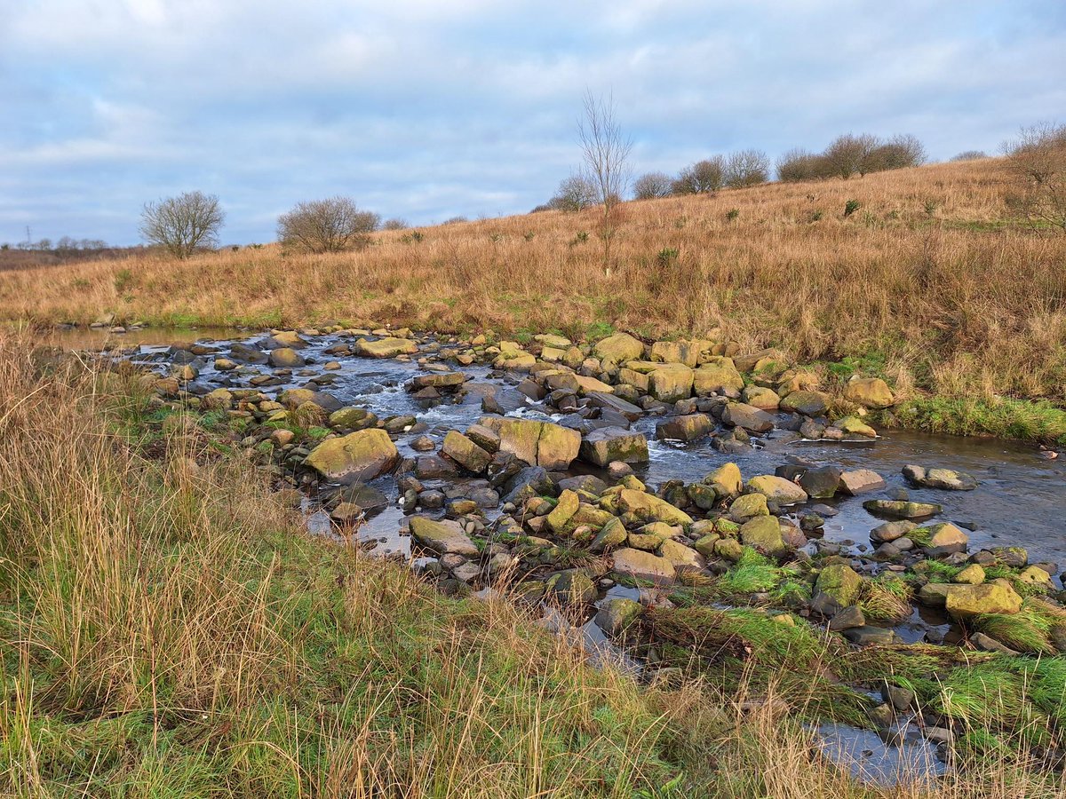 WestCumbriaRT's tweet photo. 1/ 🌿 New Watery Walk: Keekle Waterways &amp; Woodlands!
Explore a 2-mile trail by the River Keekle in Whitehaven. Wander peaceful woods &amp; restored waterways, then hear how the river was renaturalised in our podcast!
⏳ 45-50 mins | 📍 River Keekle https://t.co/e9Tukmn7rI