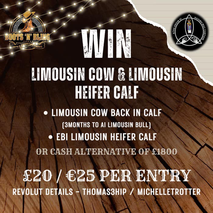 🐮💰🤠 Boots N Bling Fundraiser - In calf Limousin cow with EBI Limousin heifer calf at foot OR cash alternative of £1800🐮💰🤠
Get all the latest news on the Aghadrumsee GAC app member.clubspot.app/club/aghadrums…
