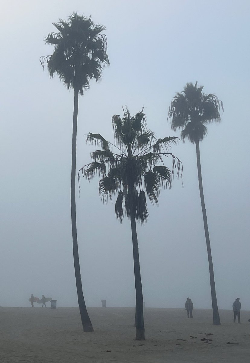 Seasons change. Happy Holidays from deep in the fog. 🌴 🏄‍♂️ ❤️ #VeniceBeach #WestCoast #California #HappyHolidays #GM #GoodMorning
