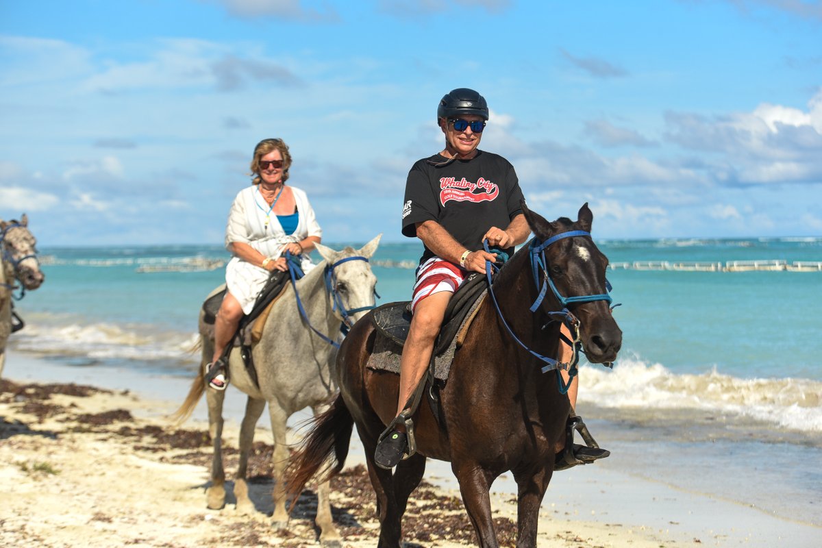 Nada se compara con recorrer paisajes hermosos y sentir la brisa del mar mientras cabalgamos. Momentos de conexión con la naturaleza que se quedan en el corazón. 💙✨

📍 Vive esta aventura con nosotros y crea recuerdos únicos.