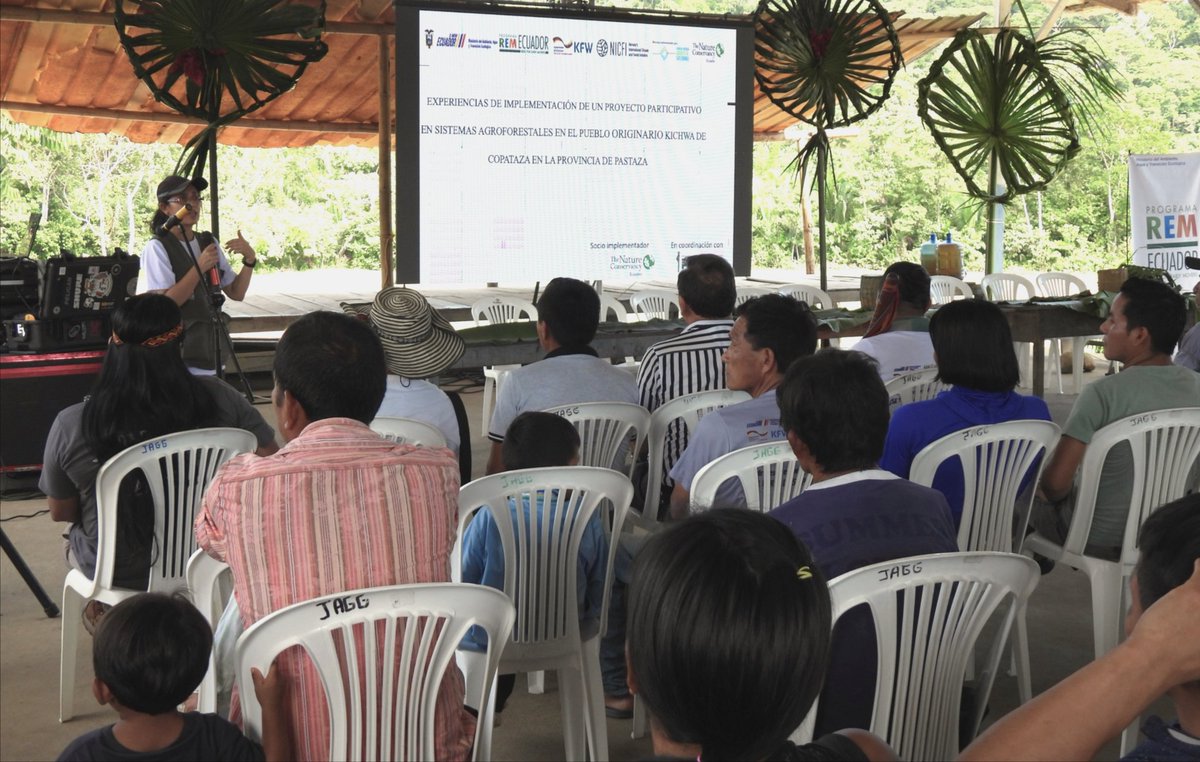 #FIASNews| Familias del pueblo originario kichwa de Copataza transformaron su producción agroforestal.

A través del <a href="/REMEcuador/">Programa REM Ecuador</a> y con apoyo de <a href="/TNCEcuador/">The Nature Conservancy Ecuador</a>, fortalecieron el manejo sostenible de especies forestales en peligro crítico.

🔗 fias.org.ec/noticias/