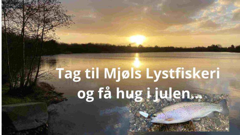 angelnindenmark's tweet photo. Tag til Mjøls Lystfiskeri og få hug i julen - Se mere her….

https://t.co/yEUb7CkOFa https://t.co/pRA4NULDsr