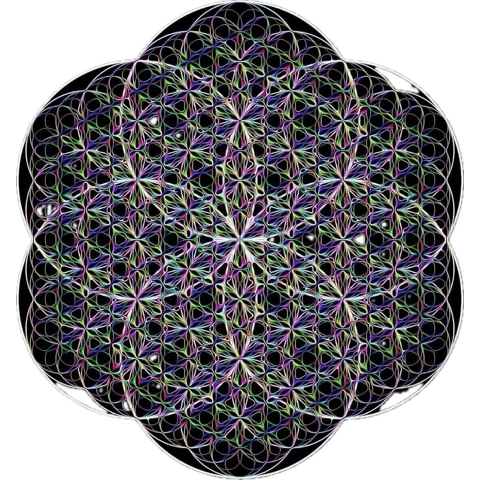 andrewshaman's tweet image. We are still going strong!!

$SEAHORSE

7L6M32mpkewGWj8bHspoX8QDe9pb3b3S1U33KpFvpump