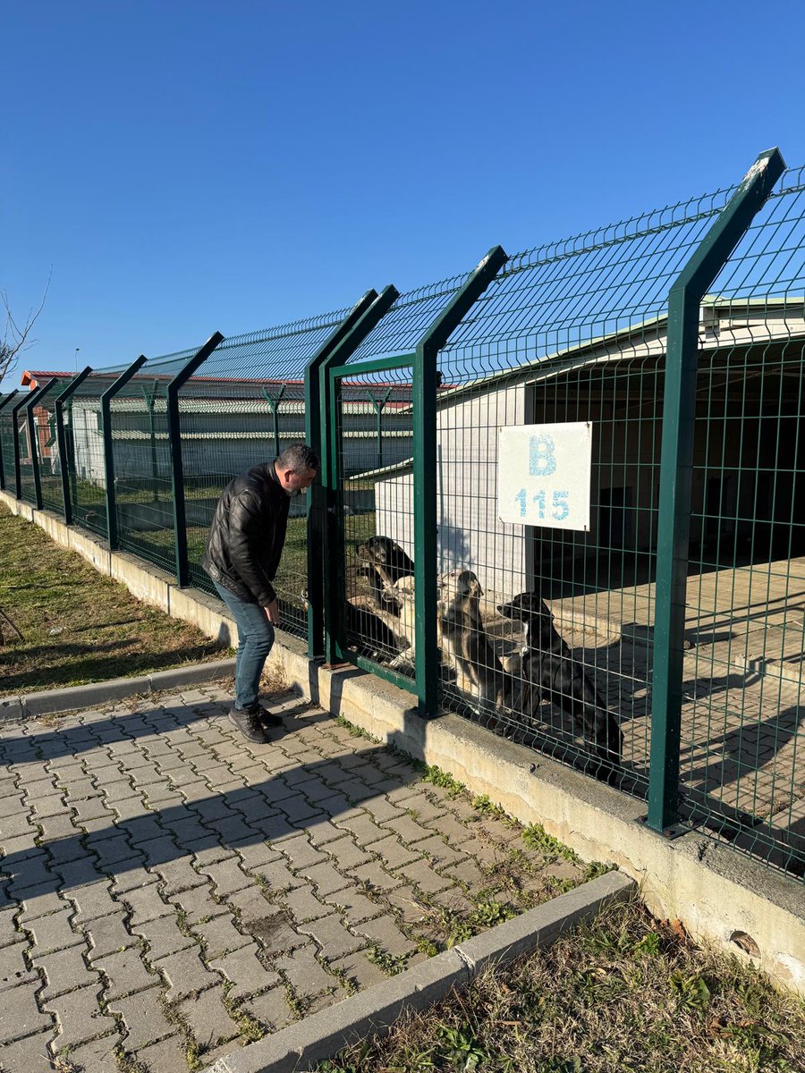 CHP İstanbul Hayvan Hakları Komitesi tweet media