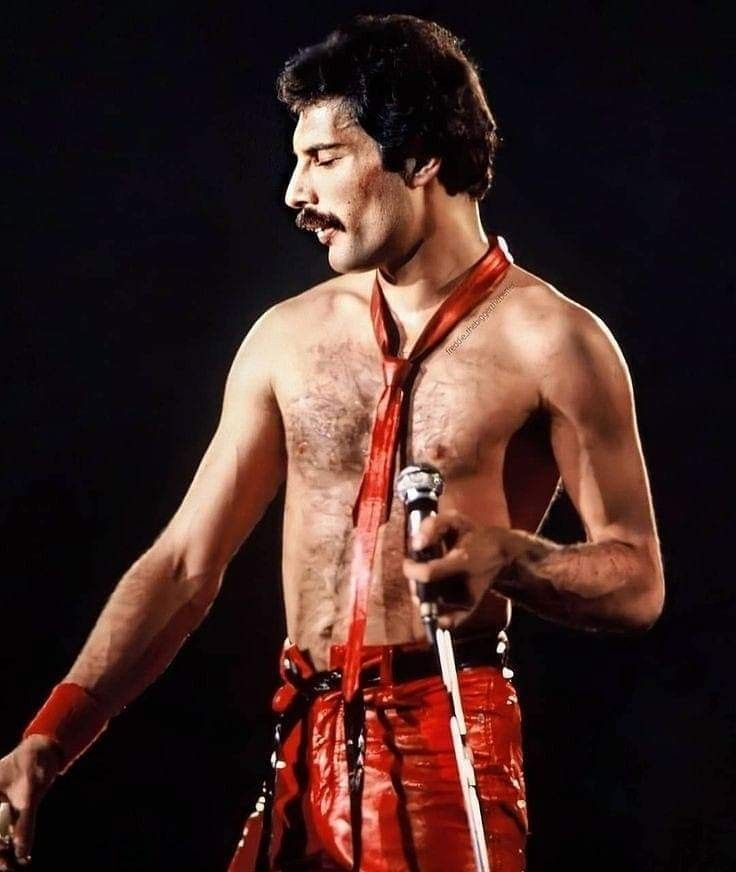 2freddiemercury's tweet photo. ♥️Freddie♥️ https://t.co/7XRV0C4ZNx