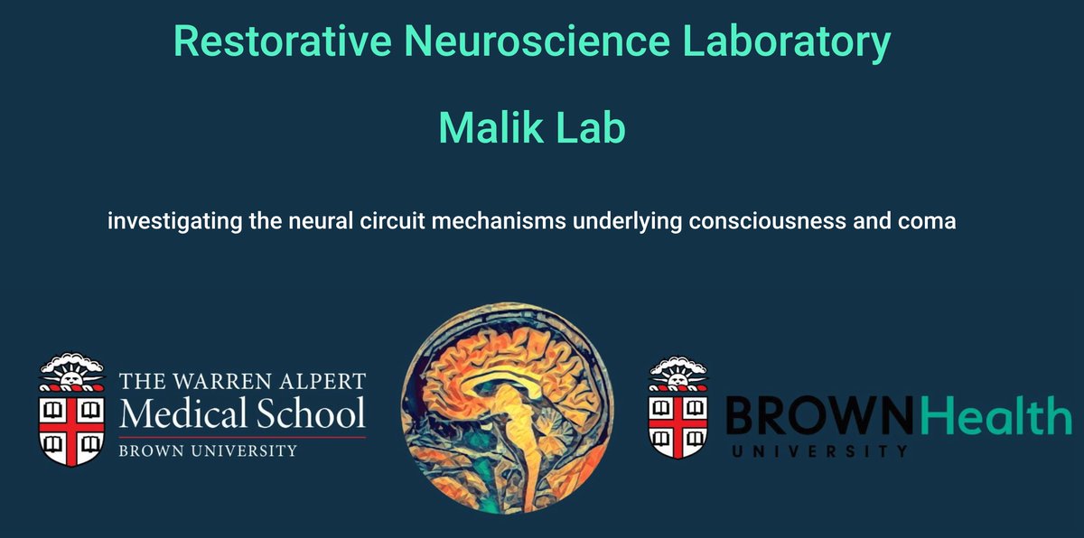 Restorative Neuroscience Lab / Malik Lab (@restoreneurolab) on Twitter photo Excited to share our updated <a href="/RestoreNeuroLab/">Restorative Neuroscience Lab / Malik Lab</a> website: sites.brown.edu/maliklab/ Excited to share our updated <a href="/RestoreNeuroLab/">Restorative Neuroscience Lab / Malik Lab</a> website: sites.brown.edu/maliklab/
