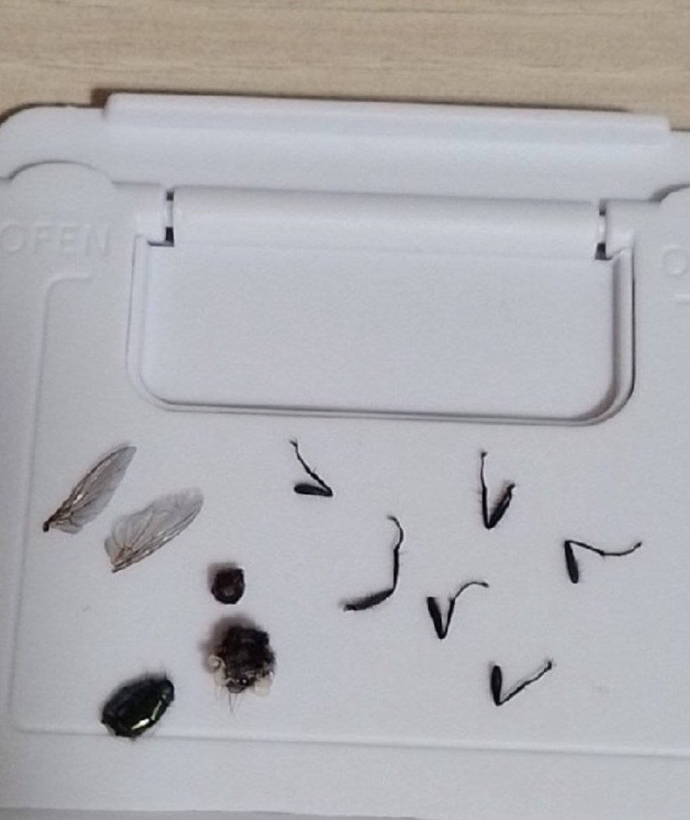 .<a href="/sza/">SZA</a>